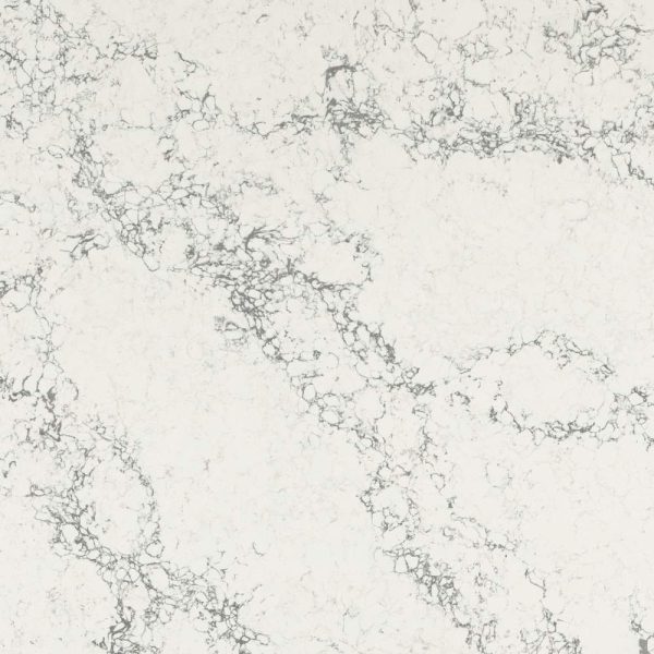 Arabescato Twilight - Daltile - Arabescato Twilight - Daltile