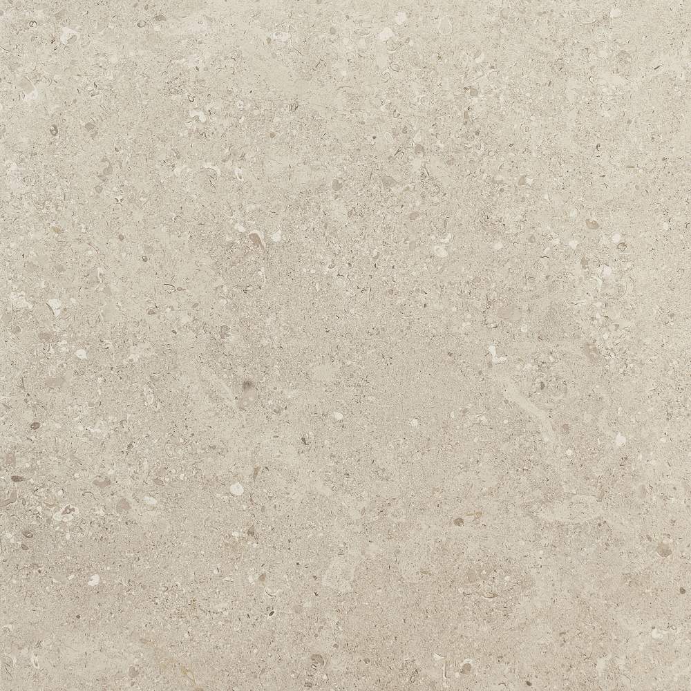 Notable Beige - Daltile - Notable Beige - Daltile