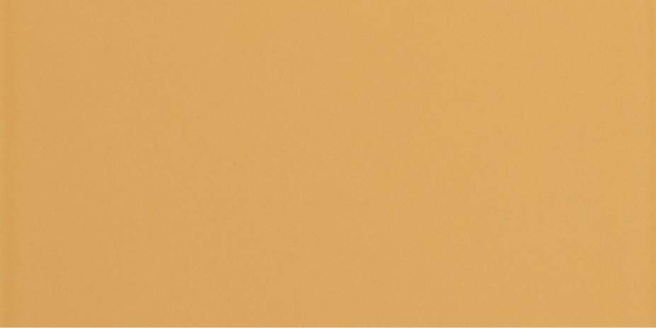 Matte Mustard - Daltile - Matte Mustard - Daltile