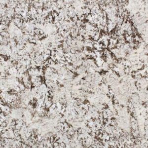 Bianco Antico - Daltile - Bianco Antico - Daltile