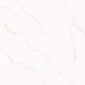 Calacatta Alabaster - Daltile - Calacatta Alabaster - Daltile