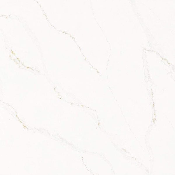 Calacatta Alabaster - Daltile - Calacatta Alabaster - Daltile