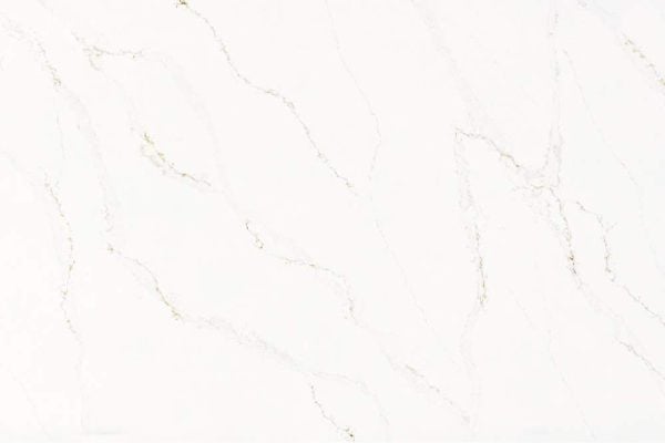 Calacatta Alabaster - Daltile - Image 2