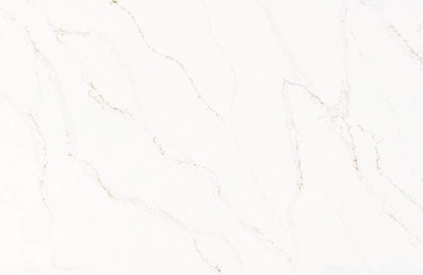 Calacatta Alabaster - Daltile - Image 3