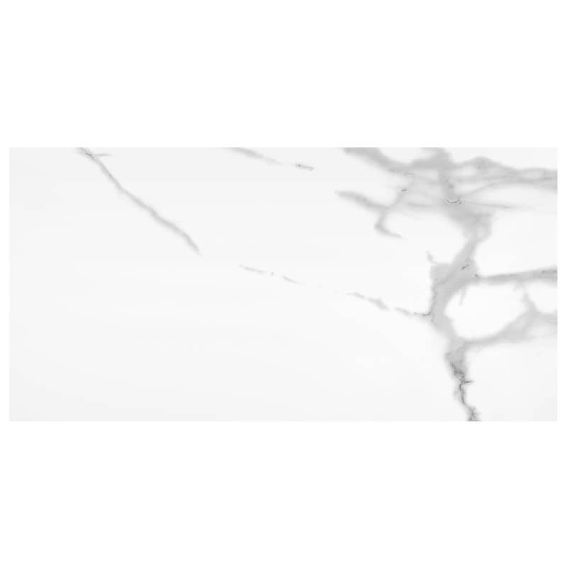 Bella Tuscana 12×24 Polished - Anthology Tile - ANTHMRBT1224P