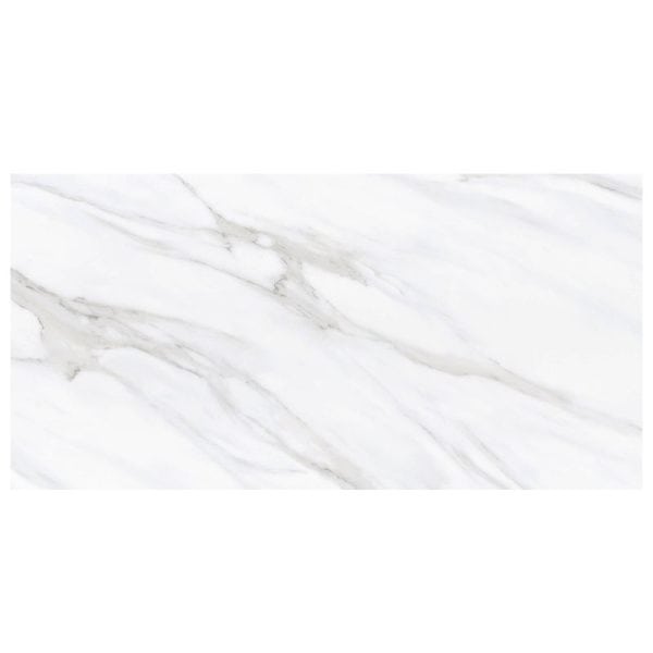 Carrara Essence 24×48 Matte - Anthology Tile - ANTHMRCE2448M