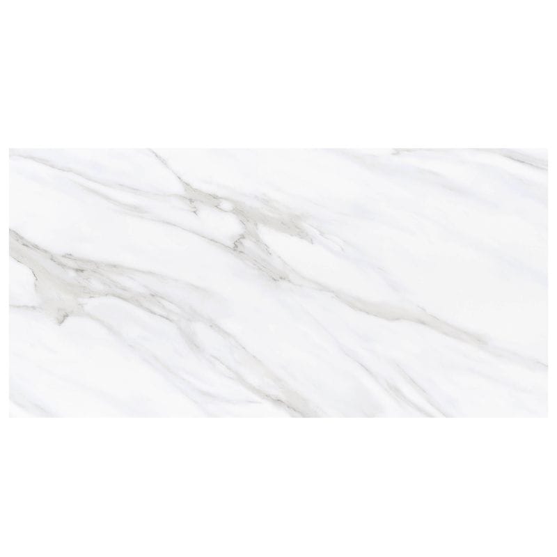 Carrara Essence 24×48 Matte - Anthology Tile - ANTHMRCE2448M