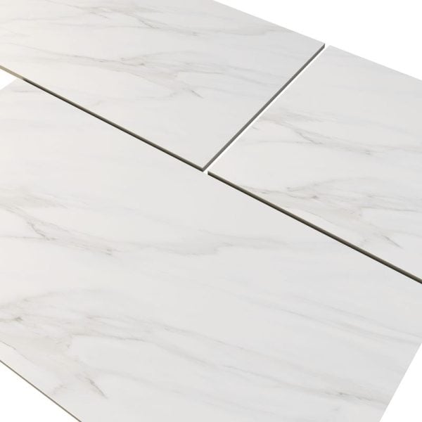 Carrara Essence 24x48 Matte - ANTHMRCE2448M - Image 4