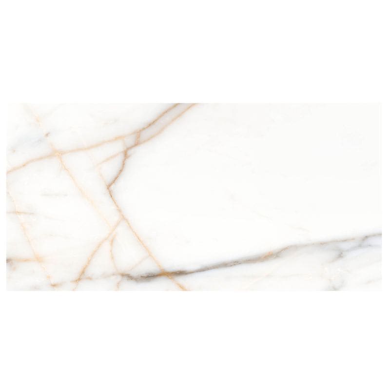 Italia Oro 12×24 Polished - Anthology Tile - ANTHMRIO1224P