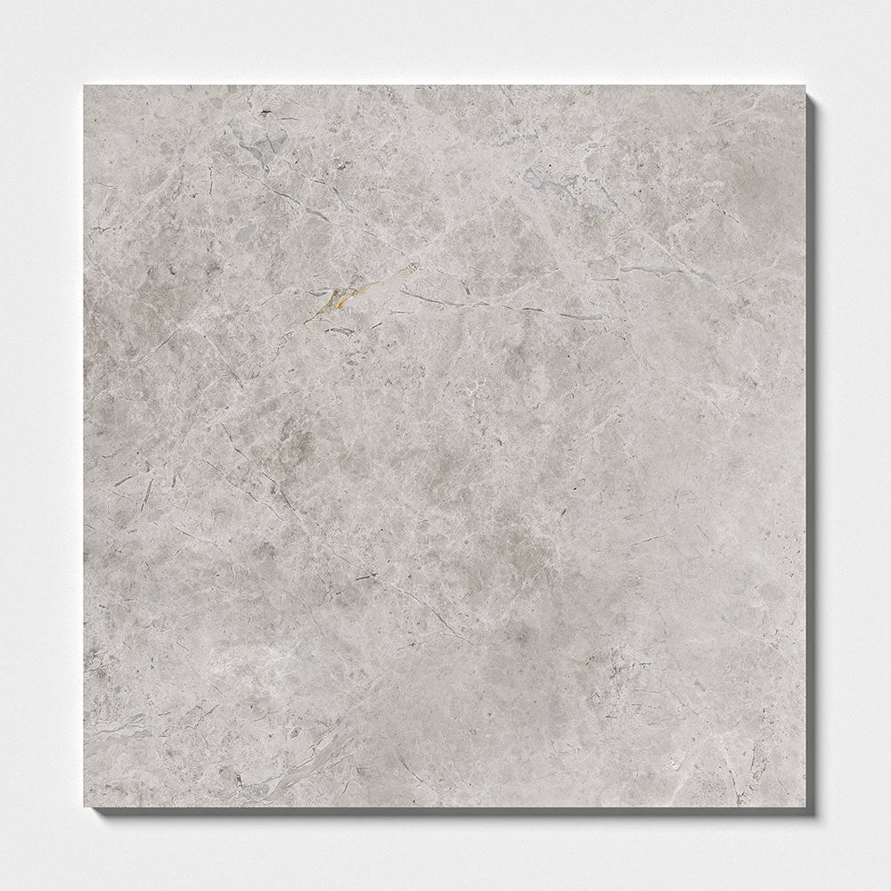 Marble Systems - Silver Shadow Polished Marble Tile 24x24 - TL13865