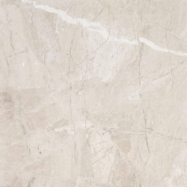 Marble Systems - Diana Royal Honed Marble Tile 36x36 - TL16040