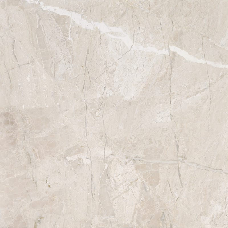 Marble Systems - Diana Royal Honed Marble Tile 36x36 - TL16040