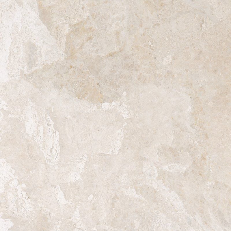 Marble Systems - Diana Royal Polished Marble Tile 24x24 - TL16720