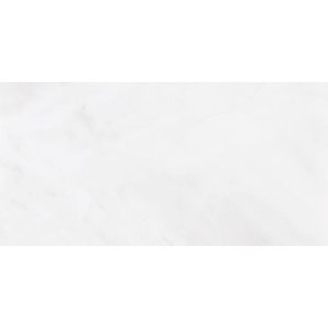 Marble Systems - Snow White Extra Polished Marble Tile 12x24 - TL17736