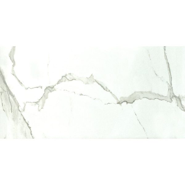 Marble Systems - Albatros Polished Marble Look Porcelain Tile 12x24 - TL17799