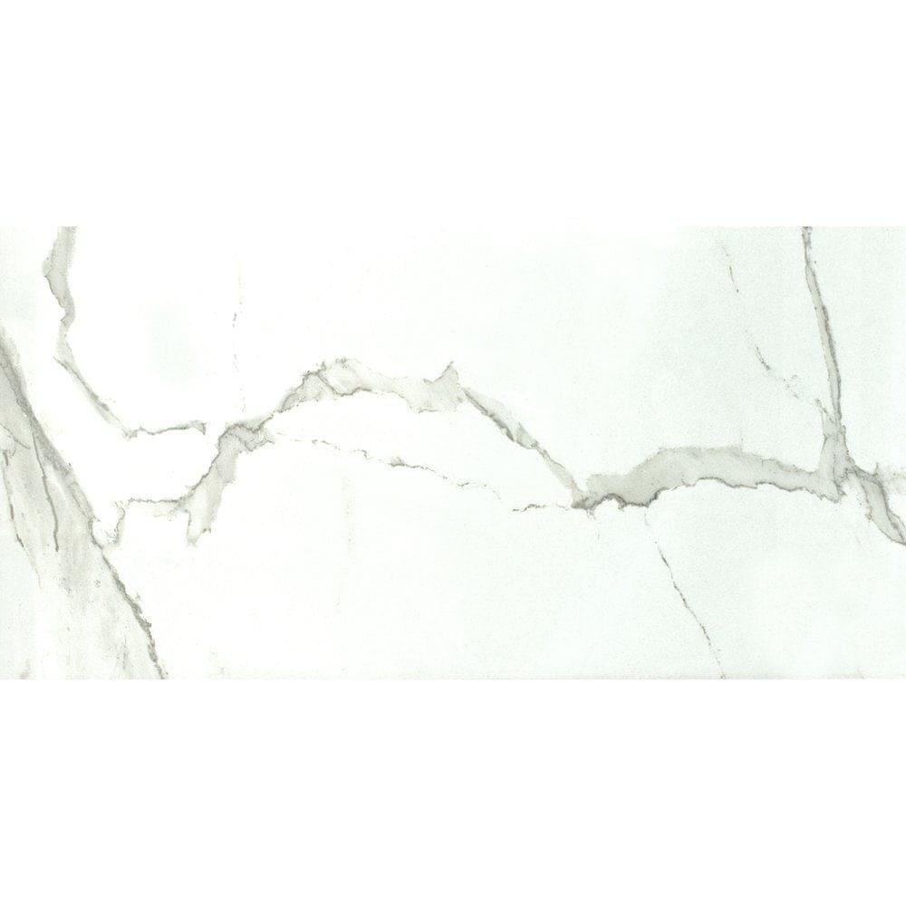 Marble Systems - Albatros Polished Marble Look Porcelain Tile 12x24 - TL17799