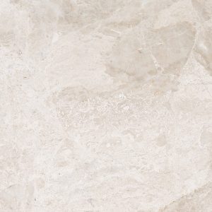 Marble Systems - Diana Royal s Polished Marble Tile 24x24 - TL18387