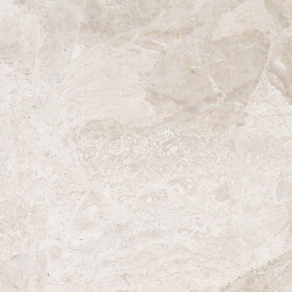 Marble Systems - Diana Royal s Polished Marble Tile 24x24 - TL18387