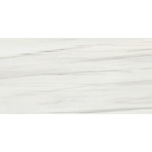 Marble Systems - Carrara Zebrino Honed Marble Look Porcelain Tile 24x48 - WIS12544