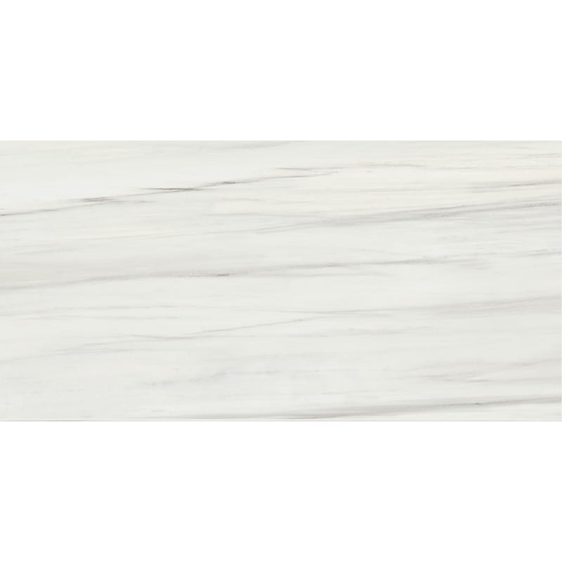 Marble Systems - Carrara Zebrino Honed Marble Look Porcelain Tile 24x48 - WIS12544