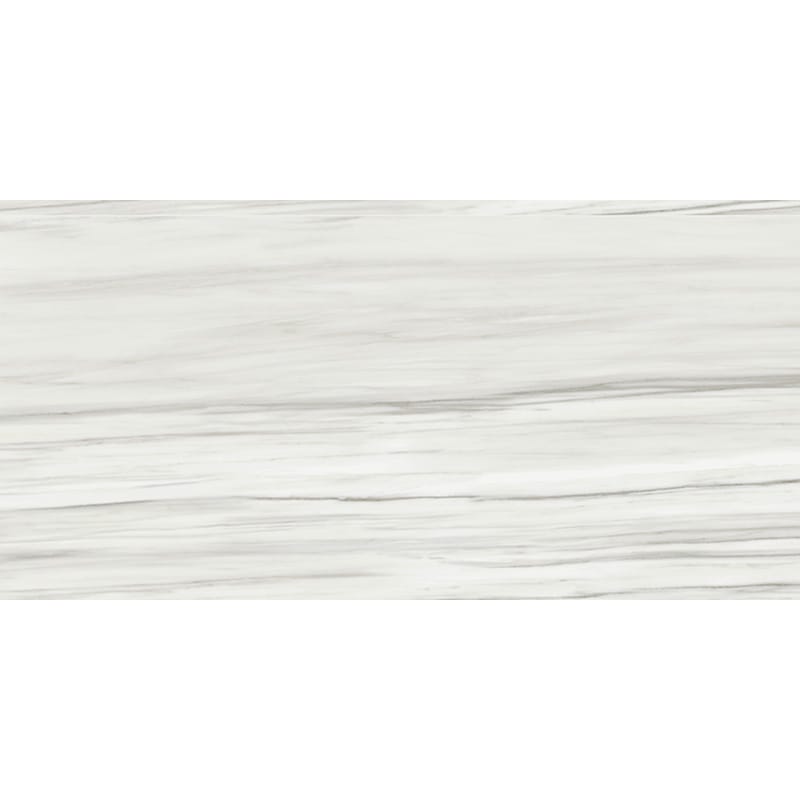 Marble Systems - Carrara Zebrino Polished Marble Look Porcelain Tile 24x48 - WIS12559