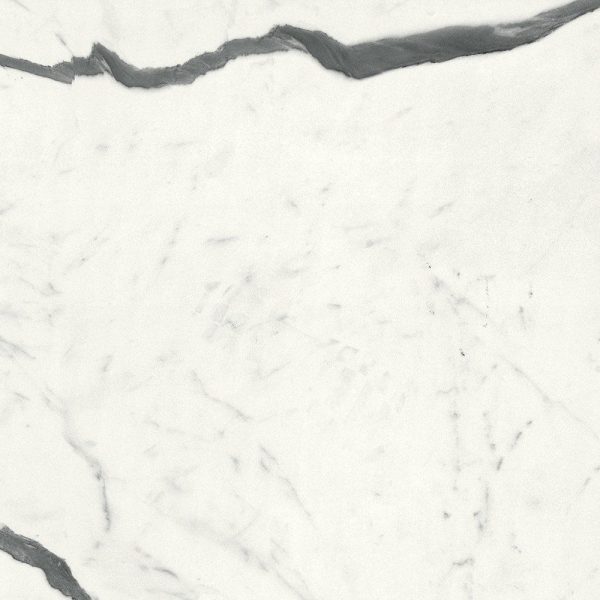 Marble Systems - Bianco Statuario Matte Marble Look Porcelain Tile 12x24 - WLE00136