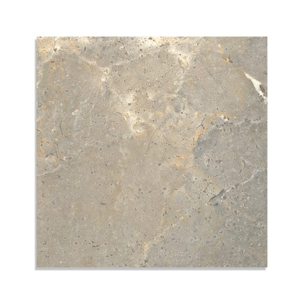 Marble Systems - Earth Matte Porcelain Tile 24x24 - WLE00978