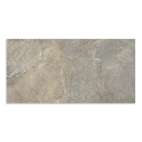 Marble Systems - Earth Matte Porcelain Tile 12x24 - WLE00983