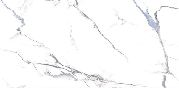 CALACATTA BOLD - POLISHED - 12x24 - 119002589