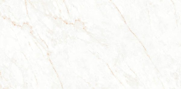 CALACATTA GLAM - POLISHED - 24x48 - 309056310