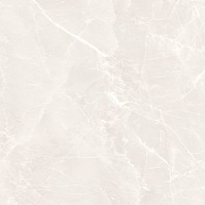 GRIGIO WHITE - POLISHED - 24x48