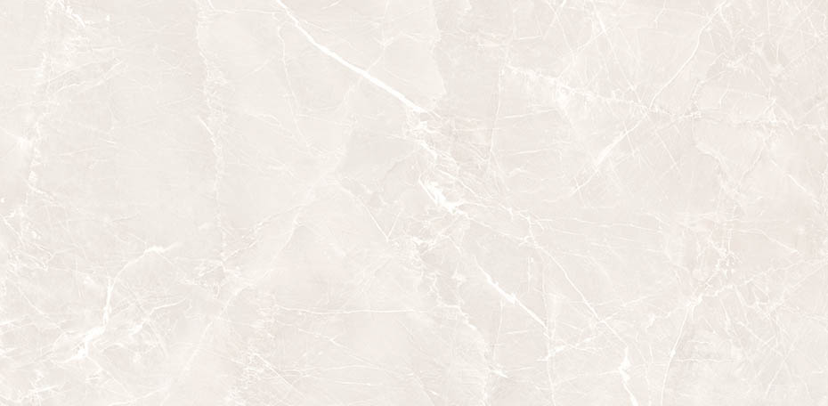 GRIGIO WHITE - POLISHED - 24x48