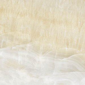 ONYX OSTRA IVORY - POLISHED - 24x48