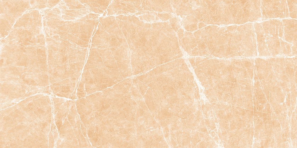 TERRE BEIGE - POLISHED - 24x48