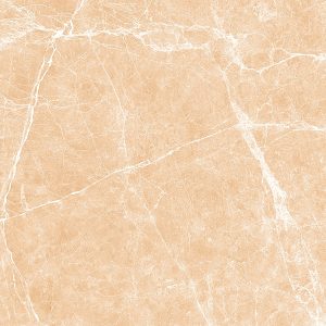 TERRE BEIGE - POLISHED - 24x48