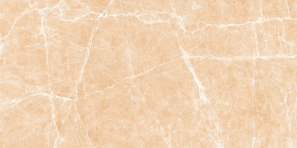 TERRE BEIGE - POLISHED - 24x48