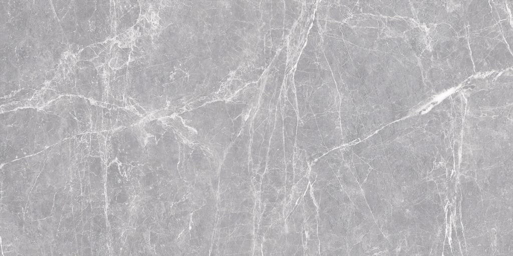 TERRE GREY - POLISHED - 24x48