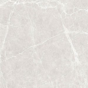 TERRE WHITE - POLISHED - 24x48