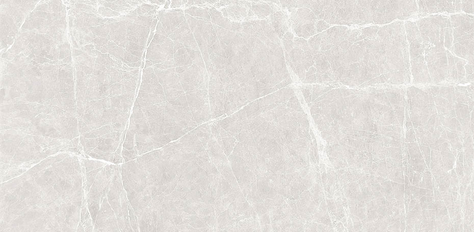 TERRE WHITE - POLISHED - 24x48