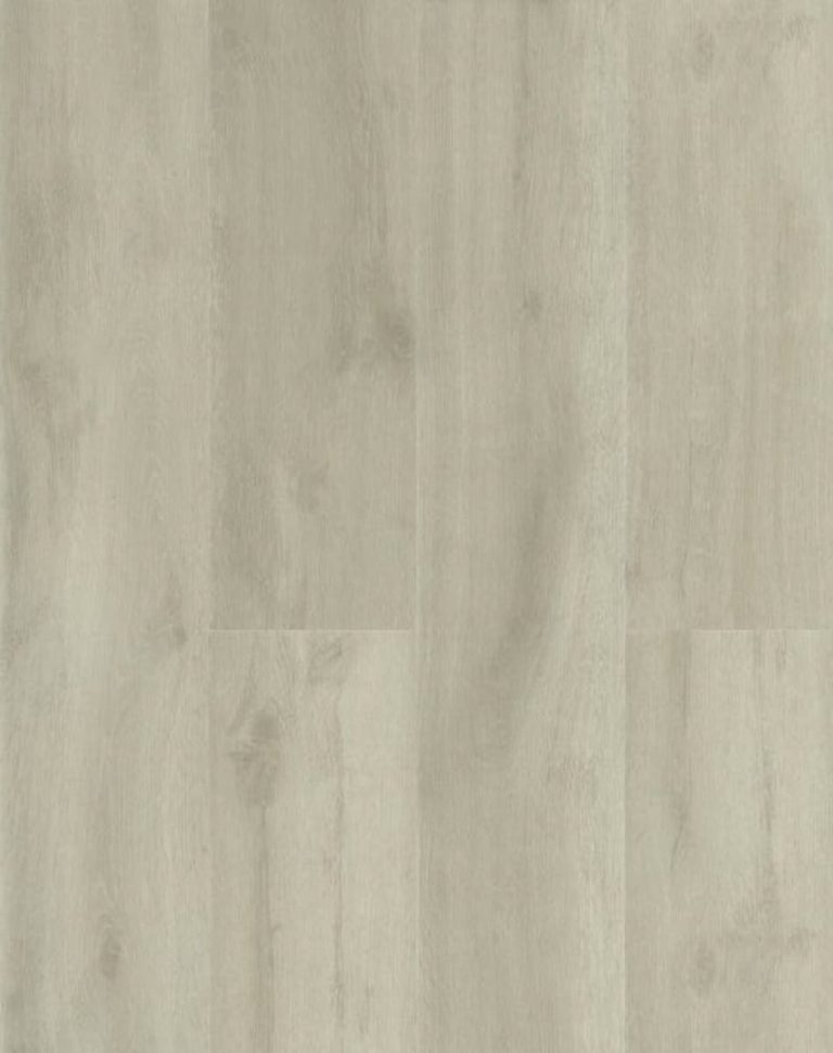 eTERRA White Series - Sand Dollar