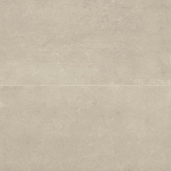 Thaddeus 24  x 48  Matte Porcelain Tile in Almond - 100001941