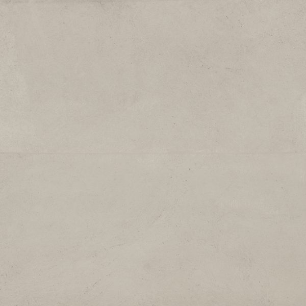 Thaddeus 24  x 48  Matte Porcelain Tile in Pearl - 100001943