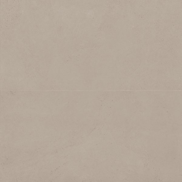 Thaddeus 24  x 48  Matte Porcelain Tile in Taupe - 100001944