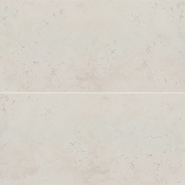 Thaddeus 24  x 48  Matte Porcelain Tile in White - 100001945