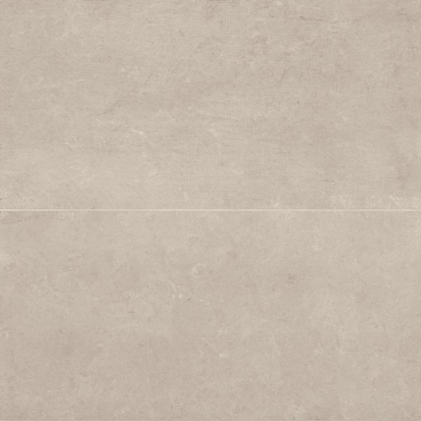 Thaddeus 24  x 48  Matte R11 Anti-Slip Rated Porcelain Tile in Almond - 100001946