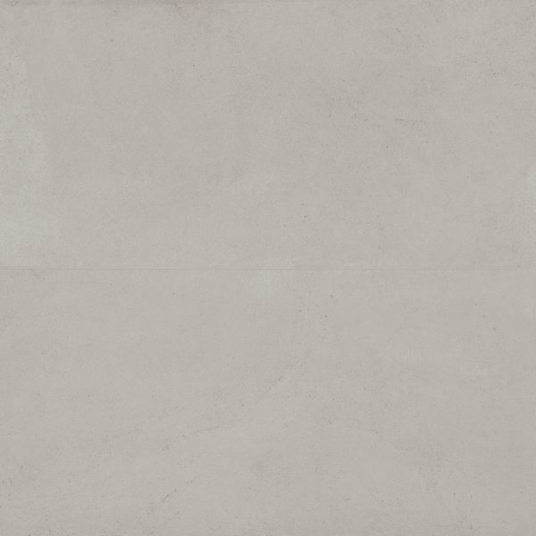 Thaddeus 24  x 48  Matte R11 Anti-Slip Rated Porcelain Tile in Pearl - 100001948