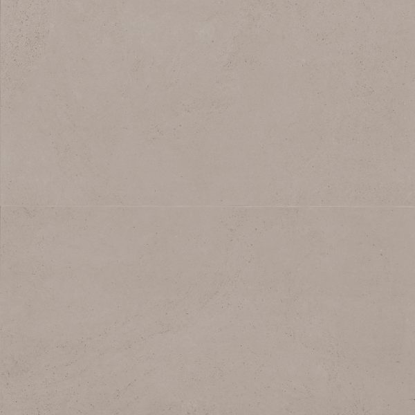 Thaddeus 24  x 48  Matte R11 Anti-Slip Rated Porcelain Tile in Taupe - 100001949