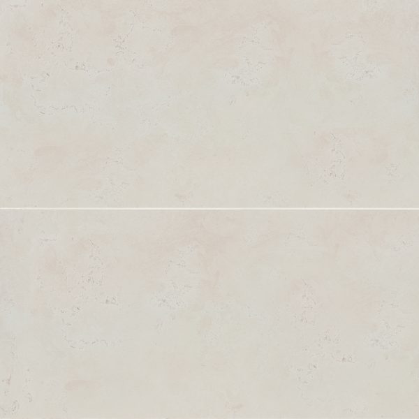 Thaddeus 24  x 48  Matte R11 Anti-Slip Rated Porcelain Tile in White - 100001950