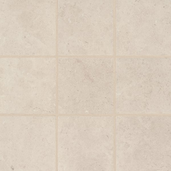 Thaddeus 4  x 4  Matte Porcelain Mosaic Tile in Creme - 100002861