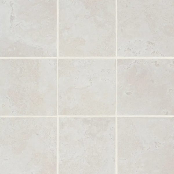 Thaddeus 4  x 4  Matte Porcelain Mosaic Tile in White - 100002864